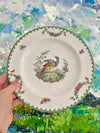 Spode Vienna Bird Salad Plate