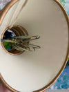 Poinsettia Chandelier Shades (5)