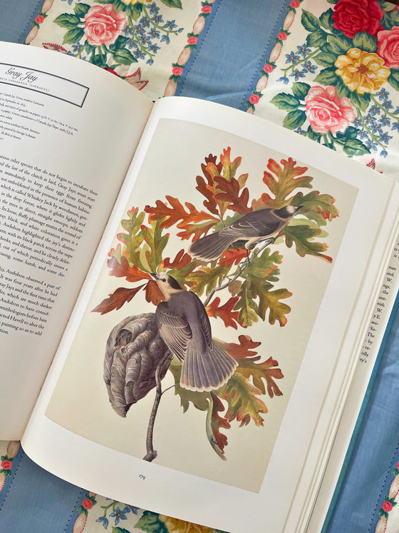 Audubon Book in Excellent Condition