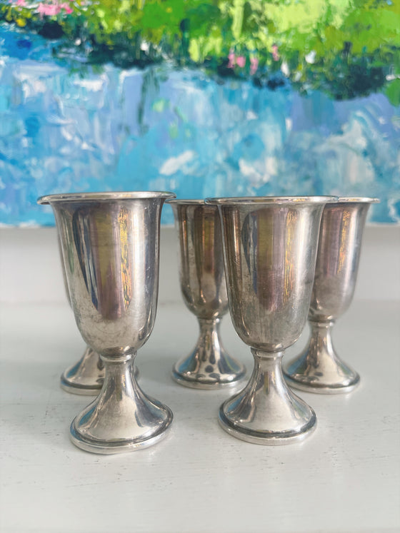 Set of 5 Sterling Silver Cordials