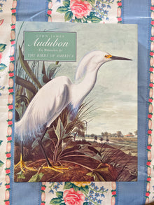  Audubon Book in Excellent Condition