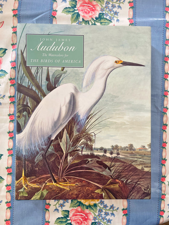 Audubon Book in Excellent Condition