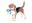 Grandmillennial Shop logo
