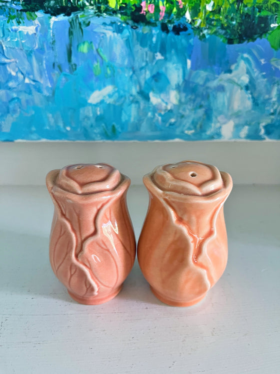 Pink Cabbage Salt & Pepper Shakers