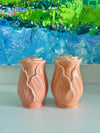 Pink Cabbage Salt & Pepper Shakers